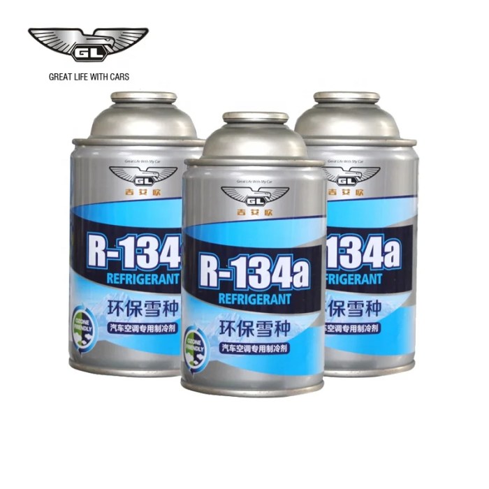 Enviro-Safe R134a Automotive AC Refrigerant Recharge Solution
